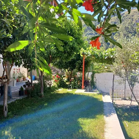 Noah&kristel 3* Berat