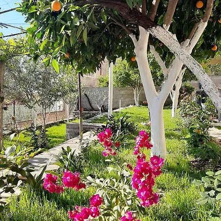 Noah&kristel Apartmanhotel 3*