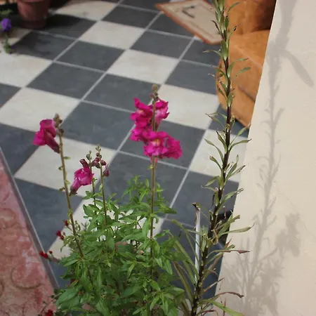 Apartmanhotel Noah&kristel 3*