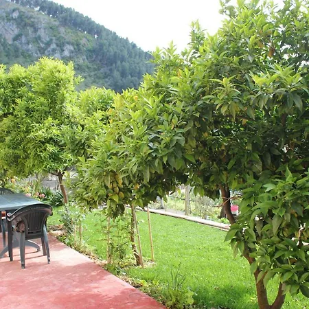 Noah&kristel 3* Berat